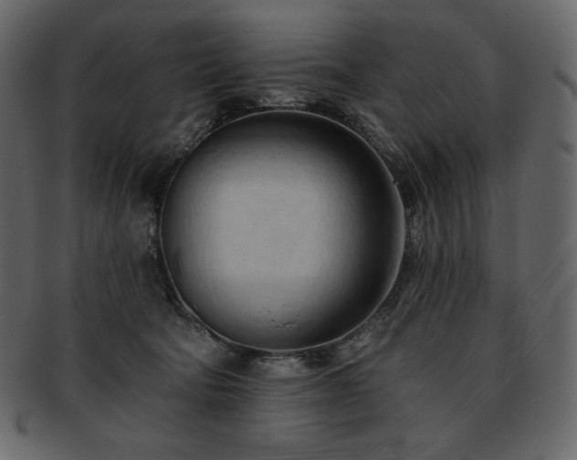 X0000093380322200710191139