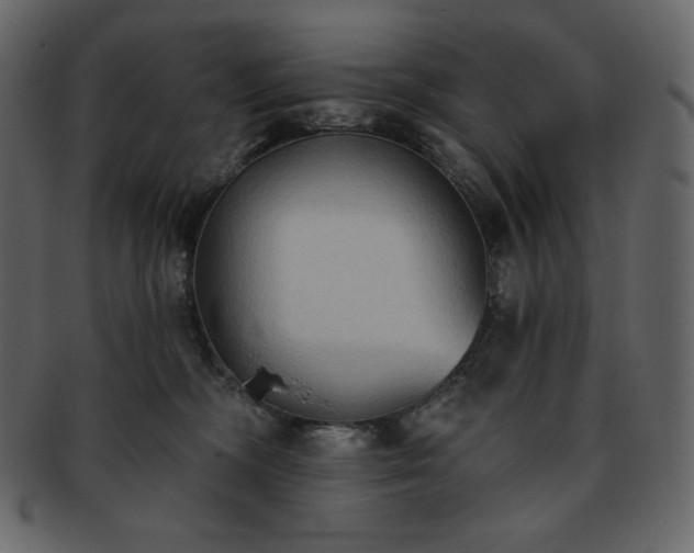 X0000093380326200710191139