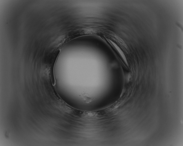 X0000093380329200710191139