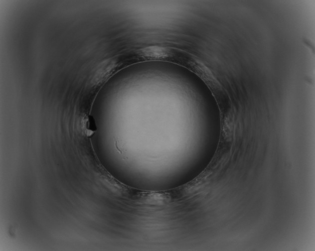 X0000093380330200710191139