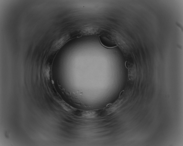 X0000093380334200710191139