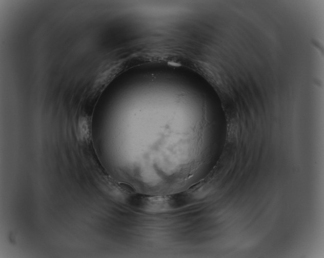 X0000093380335200710191139