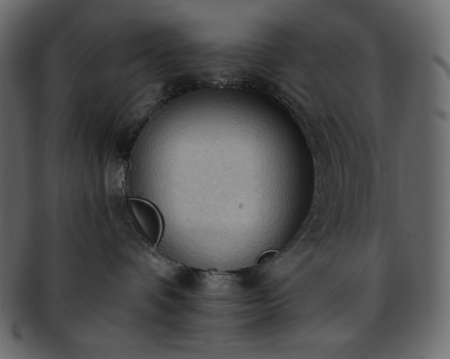 X0000093380336200710191139