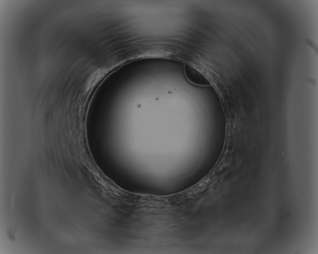 X0000093380337200710191139