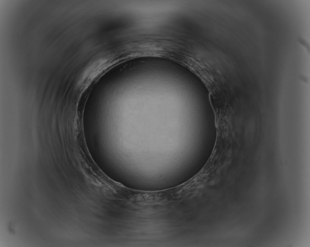 X0000093380338200710191139