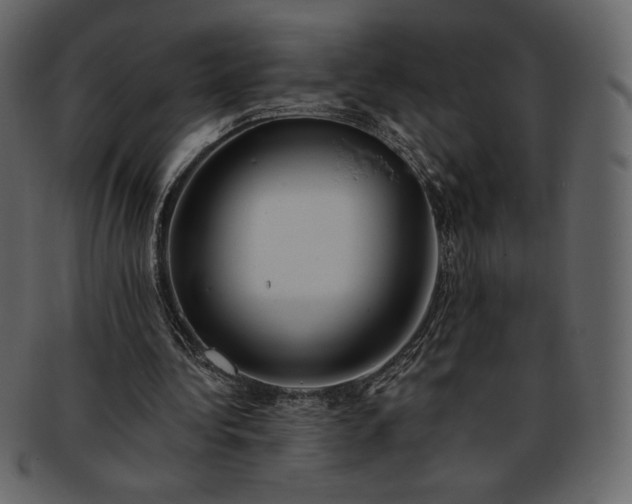 X0000093380340200710191139