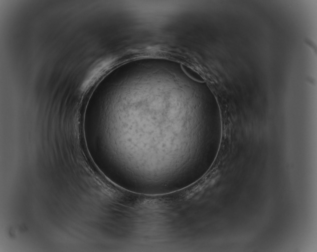 X0000093380341200710191139