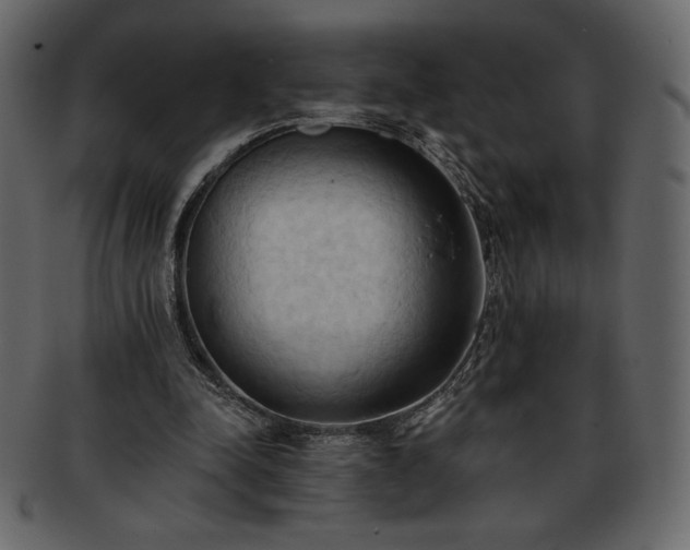 X0000093380342200710191139