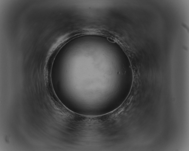 X0000093380343200710191139