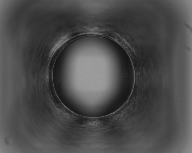 X0000093380344200710191139