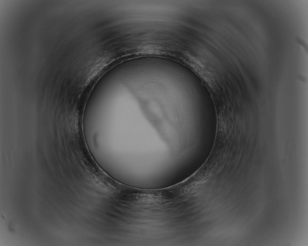 X0000093380347200710191139