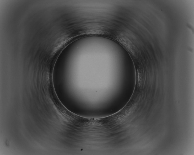 X0000093380348200710191139