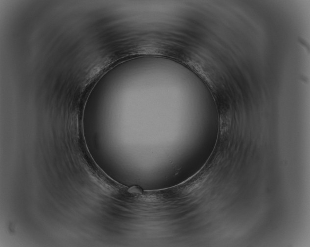 X0000093380349200710191139