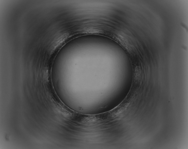 X0000093380351200710191139