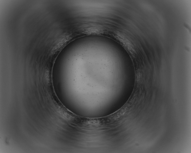 X0000093380353200710191139