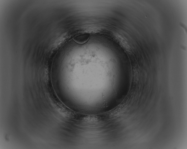 X0000093380354200710191139