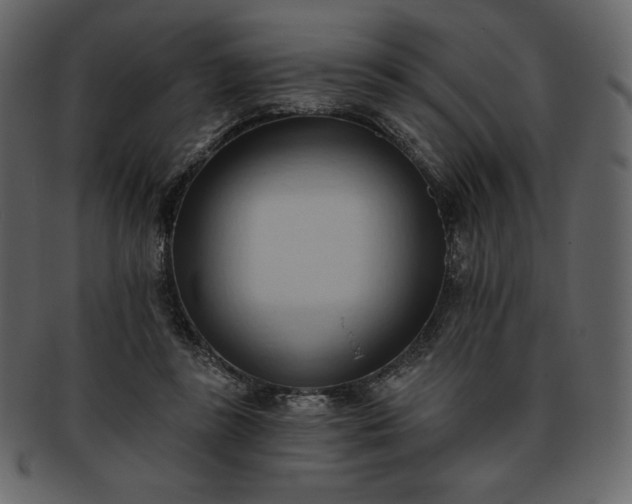 X0000093380355200710191139