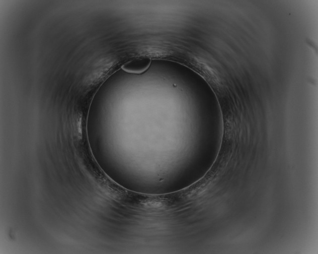 X0000093380358200710191139