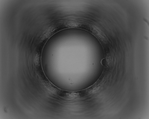 X0000093380359200710191139