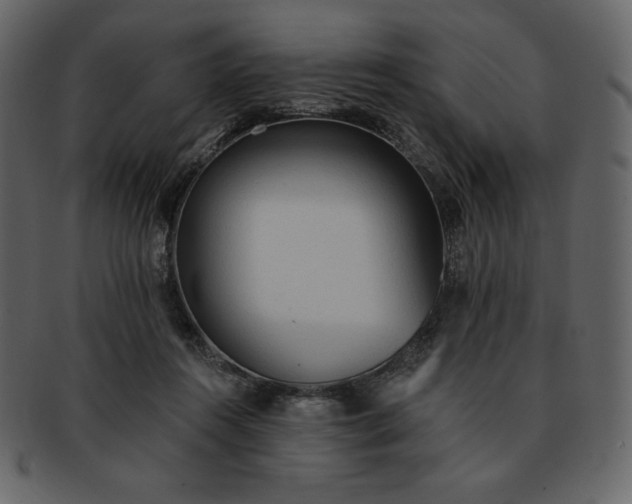 X0000093380360200710191139