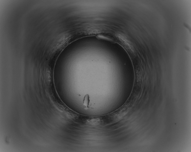 X0000093380362200710191139