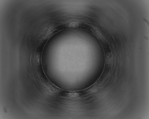 X0000093380363200710191139