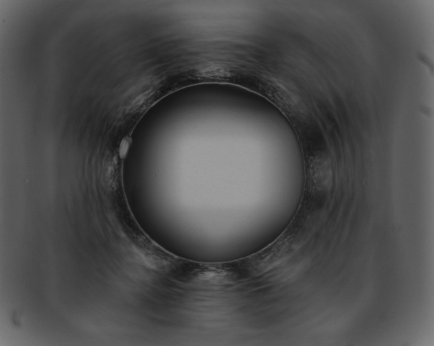 X0000093380364200710191139