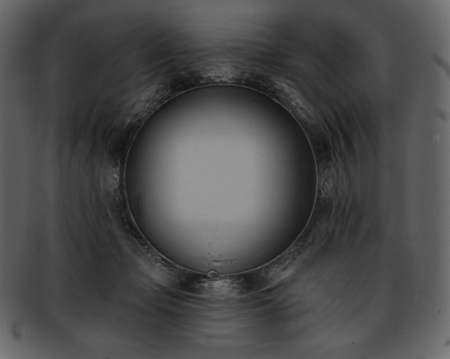 X0000093380365200710191139