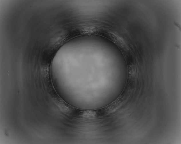 X0000093380369200710191139