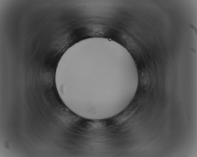 X0000093380370200710191139