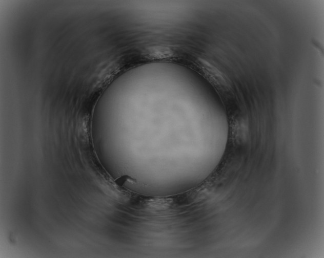 X0000093380373200710191139