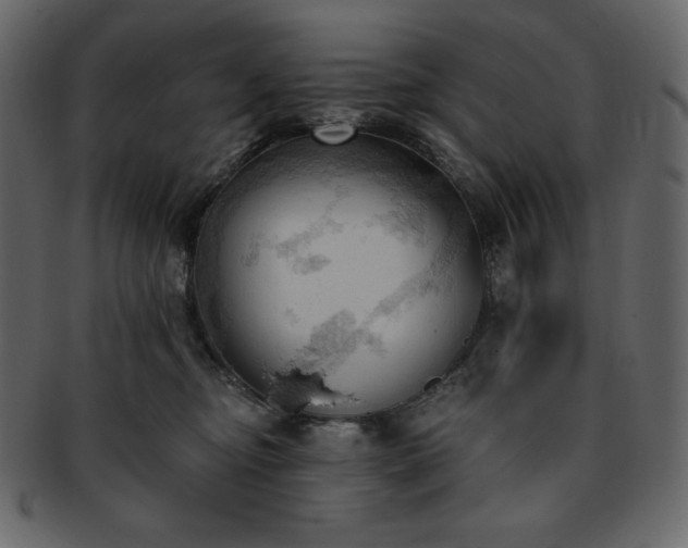 X0000093380374200710191139