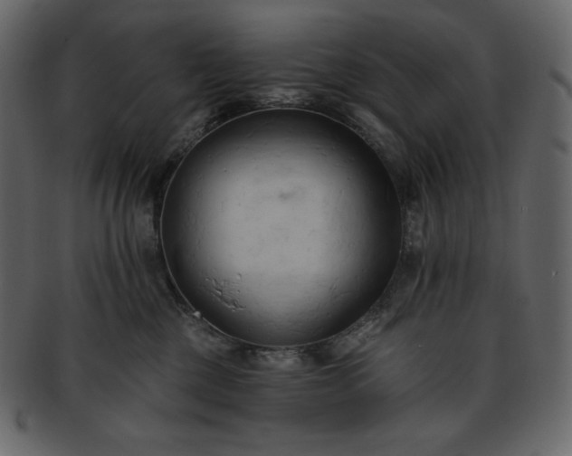 X0000093380377200710191139