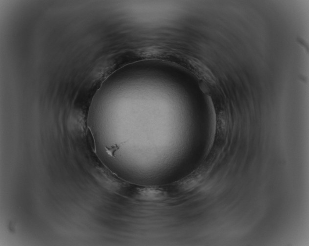 X0000093380380200710191139