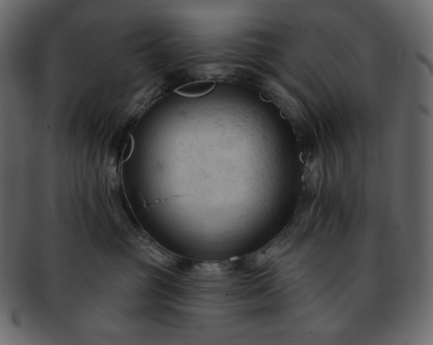 X0000093380381200710191139