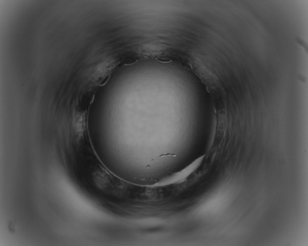 X0000093380383200710191139