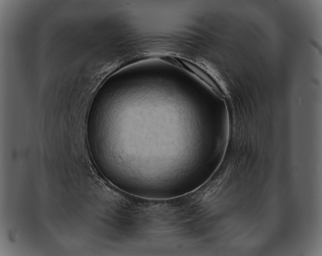 X0000093380385200710191139