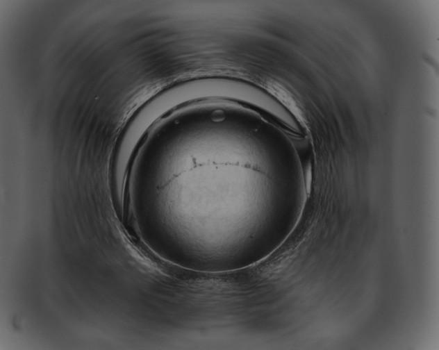 X0000093380389200710191139