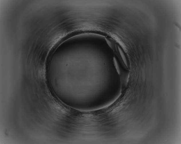 X0000093380391200710191139