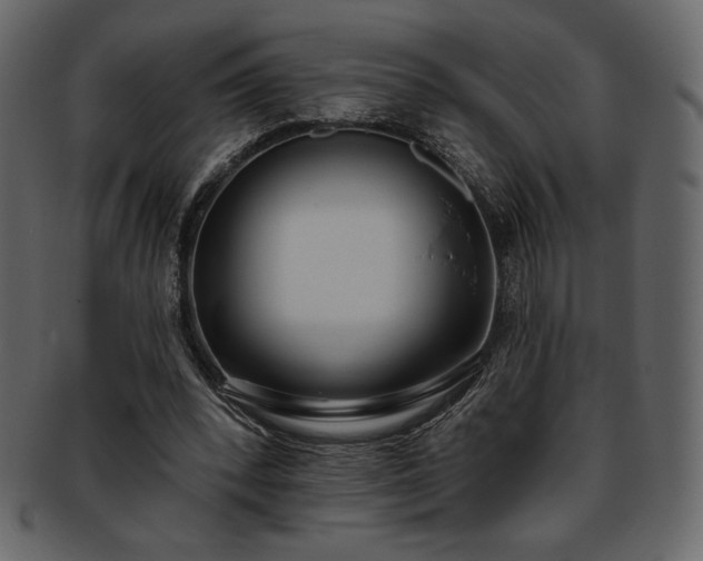 X0000093380392200710191139