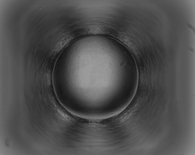 X0000093380393200710191138