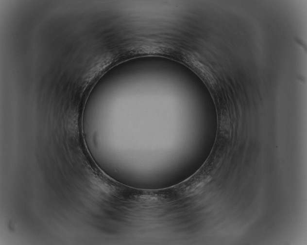 X0000093380394200710191138