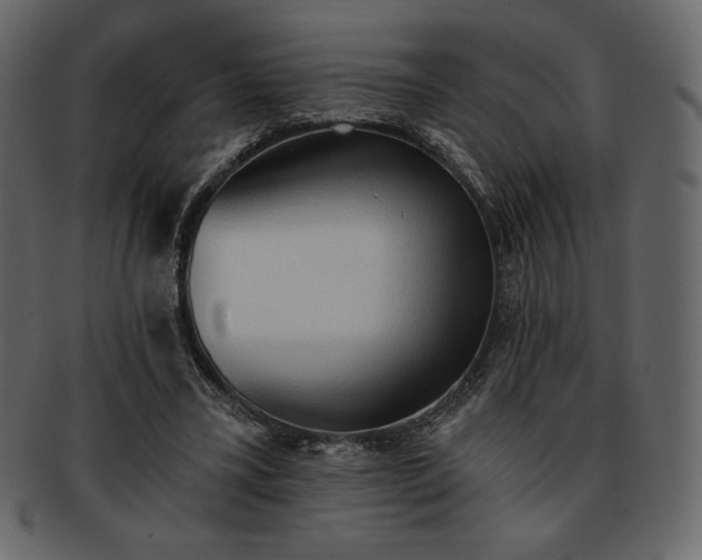 X0000093380395200710191138