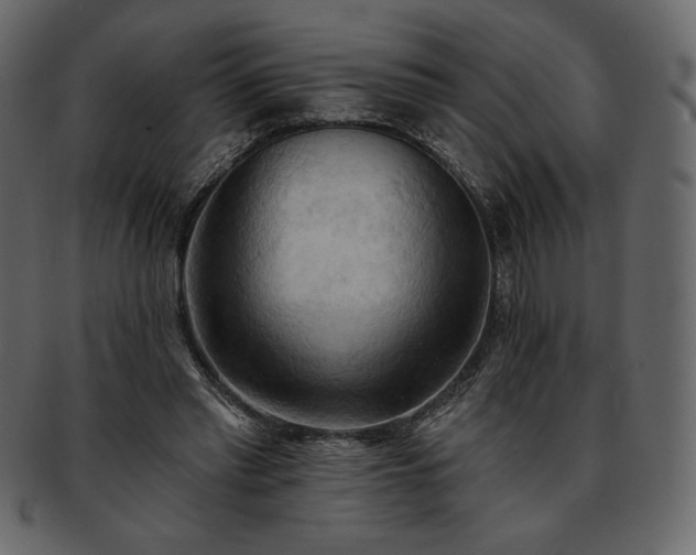 X0000093380397200710191138