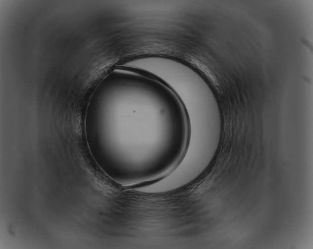 X0000093380403200710191138