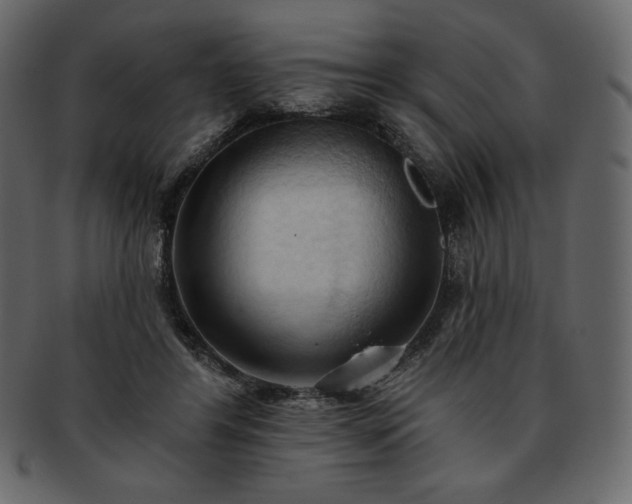 X0000093380404200710191138