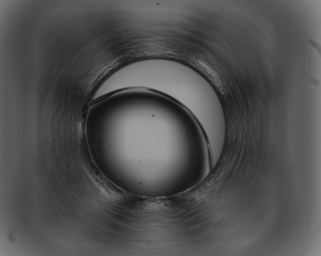 X0000093380405200710191138