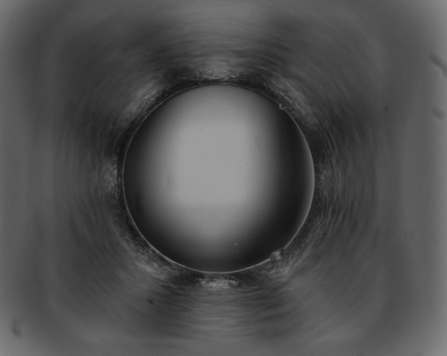 X0000093380407200710191138