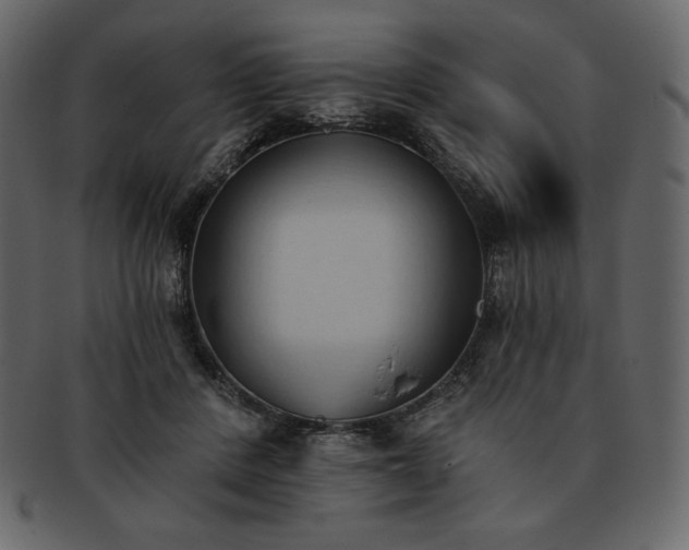 X0000093380408200710191138