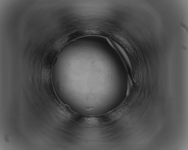 X0000093380409200710191138